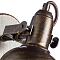Спот на 1 лампу ARTE LAMP A5213AP-1BR