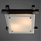 Светильник на 2 лампы ARTE LAMP A6462PL-2CK