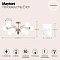 Светильник потолочная Maytoni MOD221PL-10G