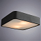 Светильник светодиодный ARTE LAMP A7210PL-2BK