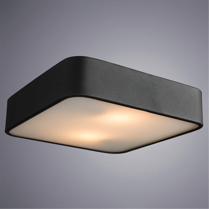 Светильник светодиодный ARTE LAMP A7210PL-2BK