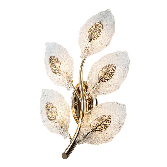 MODESTYLE MS.250.05 GD