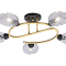 Люстра NewRgy 40300MD/5 MBK+AB