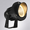 ARTE LAMP A1309IN-1BK