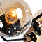 Люстра потолочная ARTE LAMP A2716PL-8BK