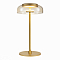 Настольная лампа интерьерная ST LUCE SL6002.204.01