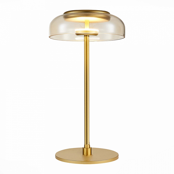 Настольная лампа интерьерная ST LUCE SL6002.204.01
