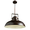 Светильник одинарный ARTE LAMP A5213SP-1BR