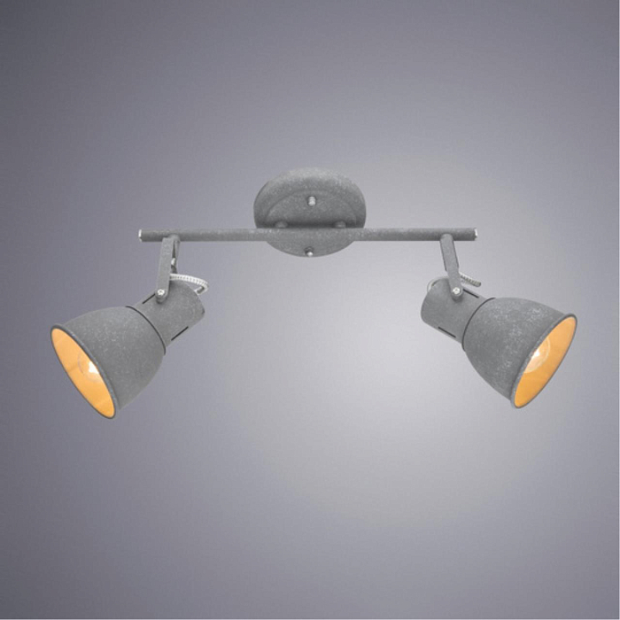 Спот на 2 лампы ARTE LAMP A1677PL-2GY