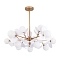 Люстра ARTE LAMP A1369SP-15SG