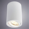 Светильник накладной ARTE LAMP A1560PL-1WH