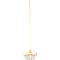 Люстра NewRgy 2727E/1A GOLD+CLEAR
