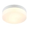 Светильник ARTE LAMP A6047PL-2WH