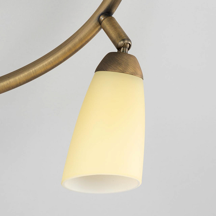 Спот на 3 и более ламп  CL501163