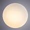 Светильник на 1 лампу ARTE LAMP A7925AP-1WH