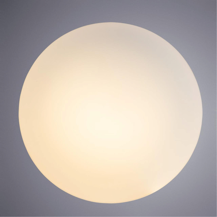 Светильник на 1 лампу ARTE LAMP A7925AP-1WH