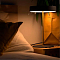 Настольная лампа ARTE LAMP A5038LT-3BK