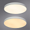 Светильник светодиодный ARTE LAMP A2671PL-1WH