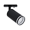 ARTE LAMP A2364PL-1BK