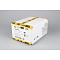 Люстра потолочная Omnilux OML-56307-05