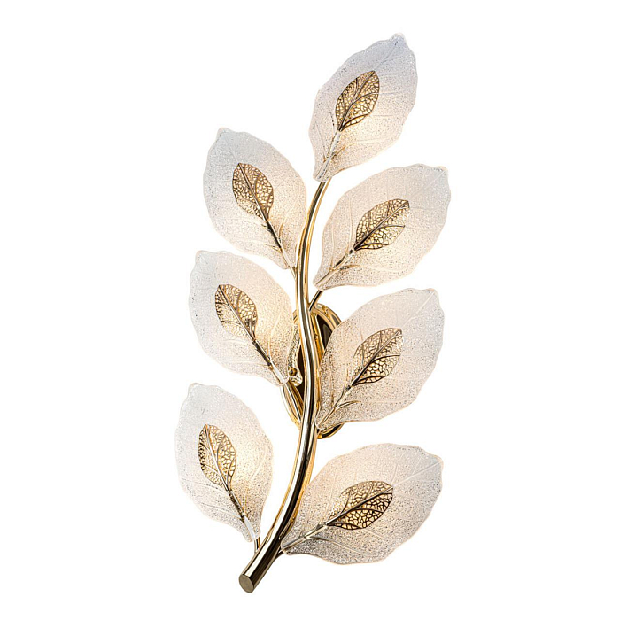 MODESTYLE MS.250.07 GD