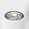 Бра настенный Outdoor O419WL-01W
