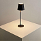 ARTE LAMP A1614LT-1BK