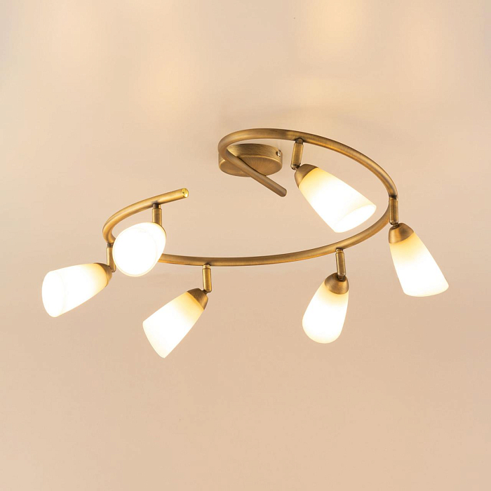 Спот на 3 и более ламп  CL501163