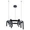Люстра ARTE LAMP A3258LM-30BK