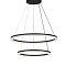 Люстра NewRgy P2830-DW-2D SANDY BLACK