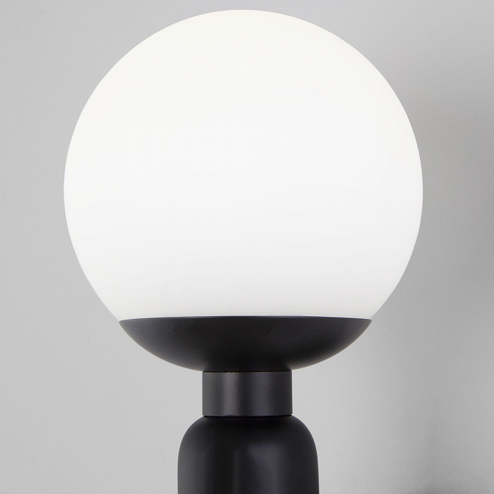 Светильник на 1 лампу Eurosvet 50251/1 черный