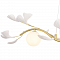 Светильник Crystal Lux COLIBRI SP4 GOLD