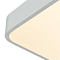 Светильник с пультом ARTE LAMP A2663PL-1WH