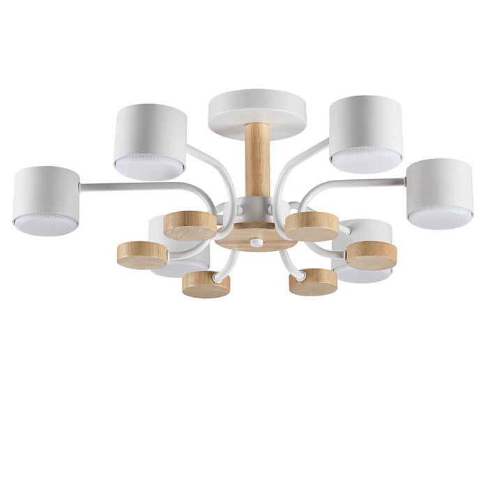 LUMION 8231/6C