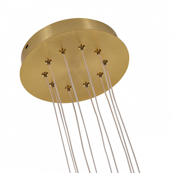 F-Promo 4469-5P