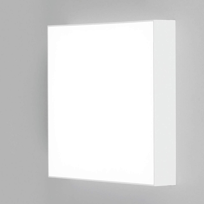 Светильник светодиодный  CL712X240N