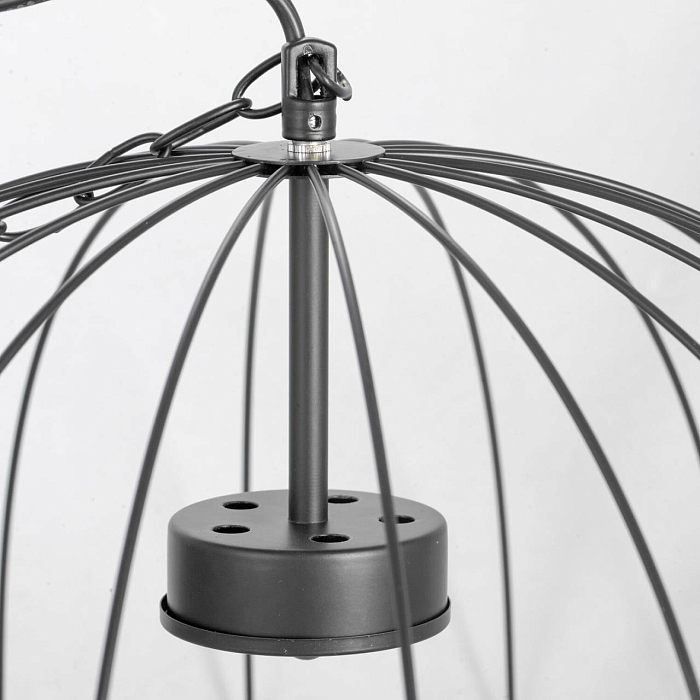 Люстра подвесная Lussole LSP-8216