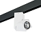Трековая система Трековый светильник Lightstar PRO051056