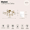 Светильник потолочная Maytoni MOD545PL-12G
