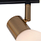 Спот на 2 лампы ARTE LAMP A3117PL-2BK