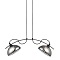Светильник двойной Vele Luce VL5462P22