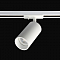 Светильник Crystal Lux CLT 0.31 013 WH-WH
