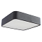 Светильник светодиодный ARTE LAMP A7210PL-2BK