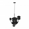 Светильник одинарный LOFT IT 2029-P4