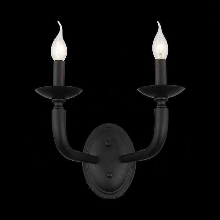 Встраиваемый на 2 лампы ST LUCE SL1114.401.02