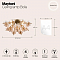 Светильник потолочная Maytoni MOD133CL-04BS