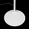 Торшер CITILUX CL806010