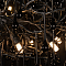 Люстра LOFT IT 10067/1250 BK