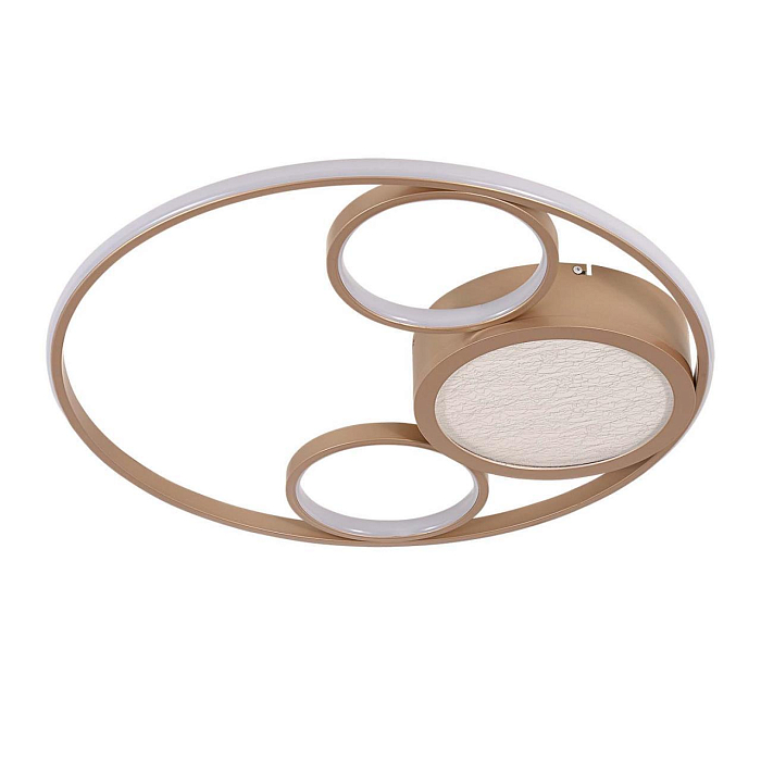 F-Promo 4681-4C