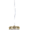 Люстра NewRgy 2893E/1 GOLD+CLEAR